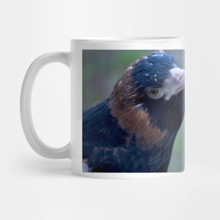 Buzzard Eye Mug